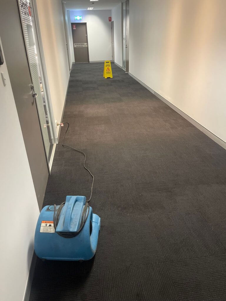 focus cleaning