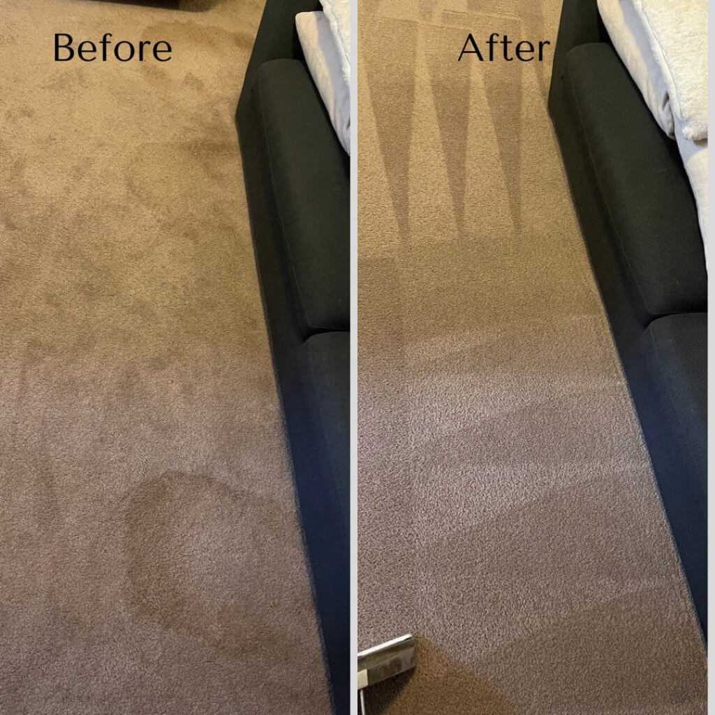 focus cleaning