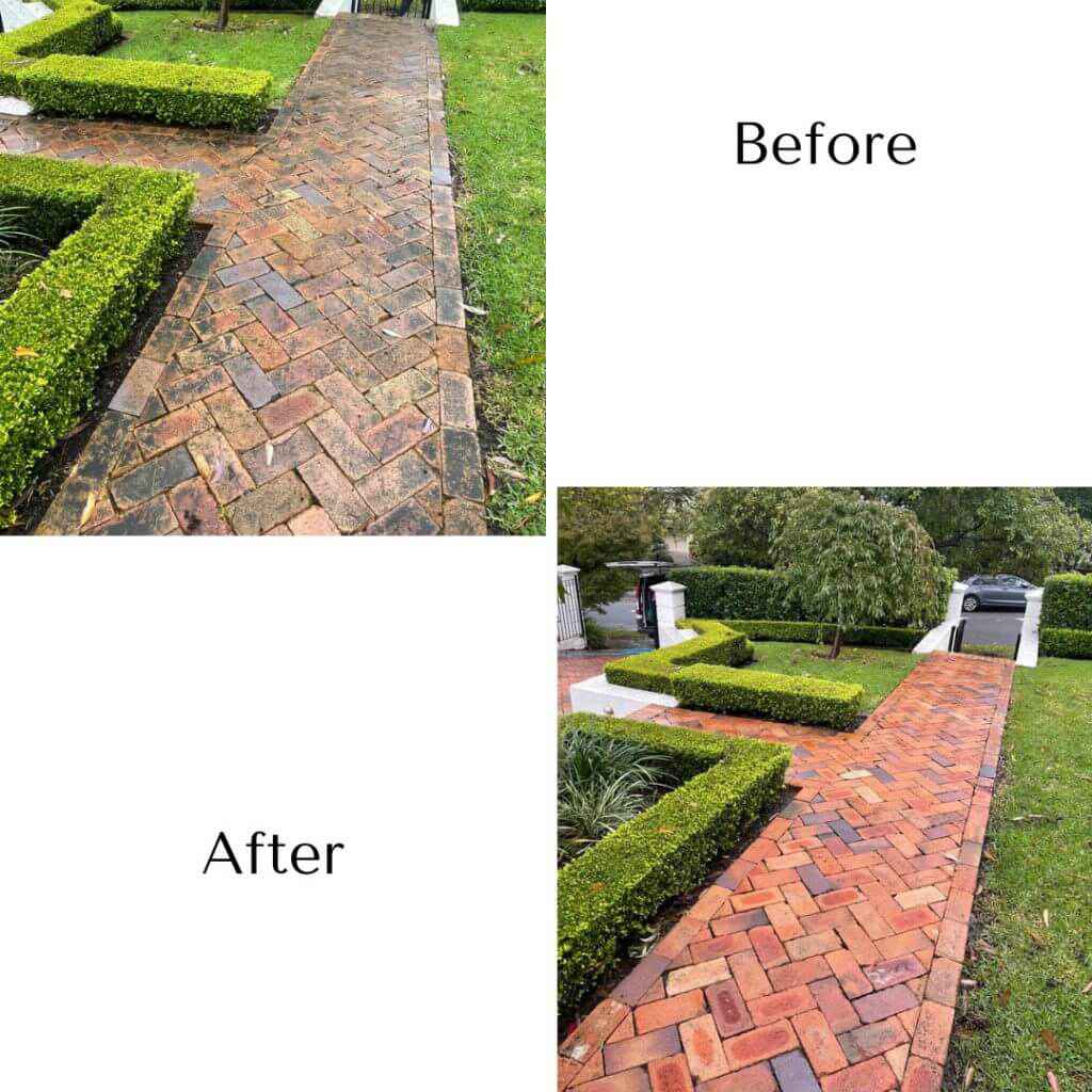 focus cleaning